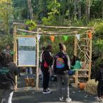 Forest Sanctuary Celebration Gathering