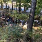 Forest Sanctuary Celebration from Above