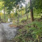 Forest Sanctuary lower Entrance