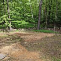 Land with trees and open grass